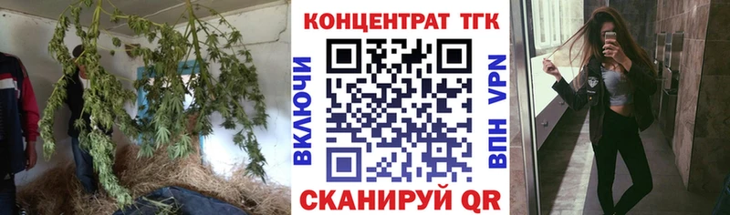 ТГК гашишное масло  Шагонар 
