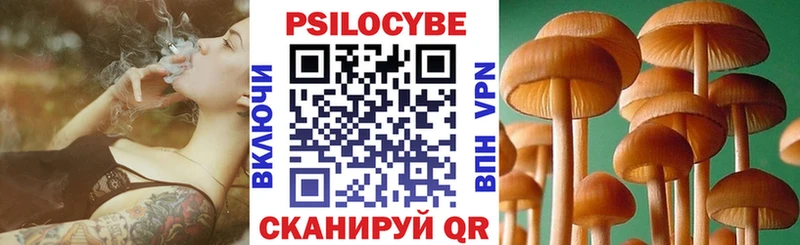Галлюциногенные грибы Psilocybe  даркнет как зайти  Шагонар 