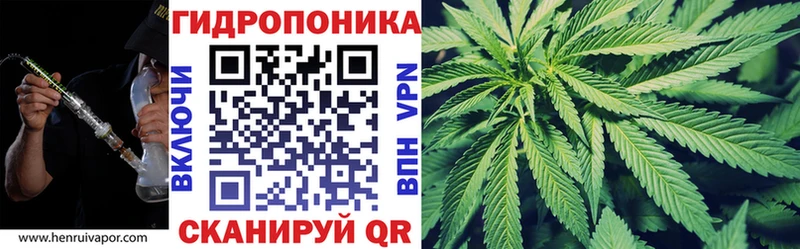 Конопля VHQ  блэк спрут сайт  Шагонар  сколько стоит 